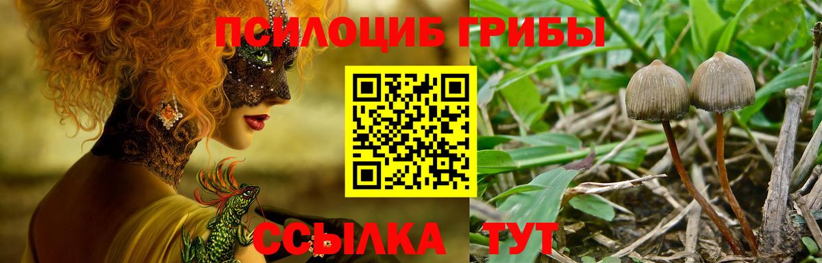 Усть-Илимск  Псилоцибиновые грибы Psilocybe  Галлюциногенные грибы прущие грибы  Вход с VPN 